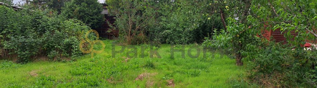 Działka rod kościan "słonecznik"