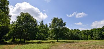 Wyjątkowa działka rolno-leśna z warunkami zabudowy