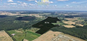 Grunty rolne na sprzedaż – 85,2441 ha, zalewo
