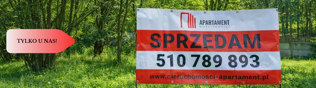 2 działki - grabowiec . wydane wz - w zaciszu lasu