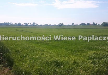 Łekno, gm. wągrowiec