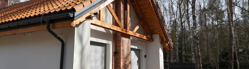 Klimatyczny dom w sercu lasu | borowiny