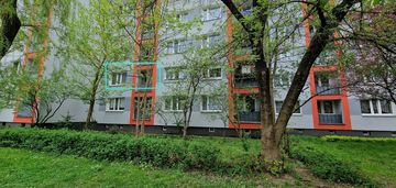 Mieszkanie 3 pokoje | piwnica | pierwsze p.