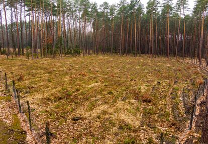Działka budowlana w msc. czarna- powiat dębicki