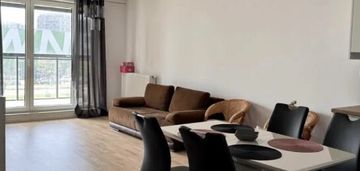 Kawalerka na pradze-południe