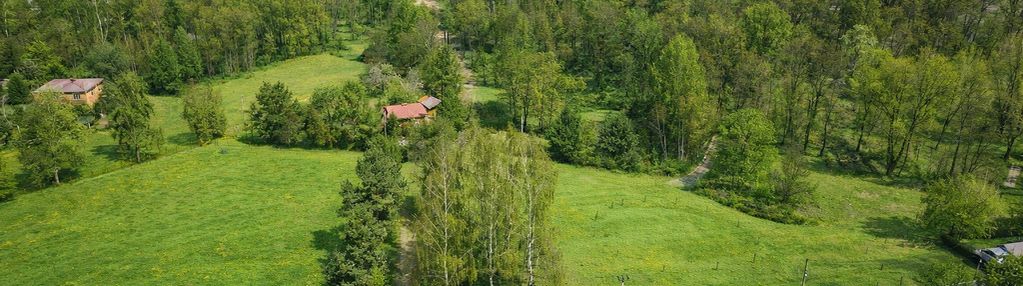 Przy lesie, cicha spokojna lokalizacja