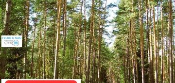 Na sprzedaż las o powierzchni 43,1ha gm.chmielnik