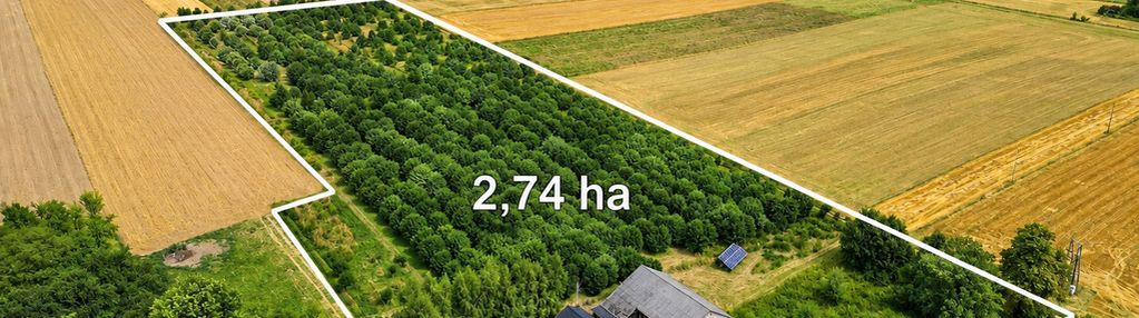 Posiadłość z trufierą 3,84 ha na jurze