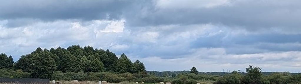 Rynarzewo 5 działek po 1000m2 5000m mpzp woda prąd