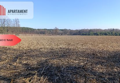 Grunt rolny/sad/pasieka/lokata kapitału/przestrzeń