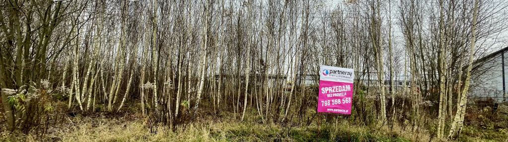 Ustawna działka pod twój dom i działalność!