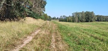 Atrakcyjna działka w sąsiedztwie jeziora stubnica