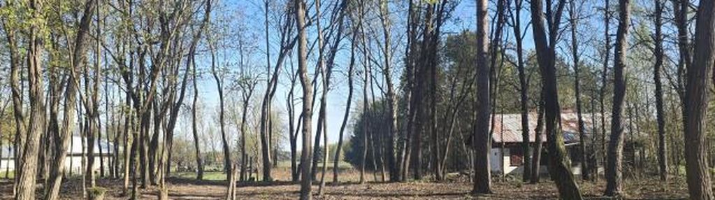 Idealna pod inwestycję – działka 4500 m² z wz