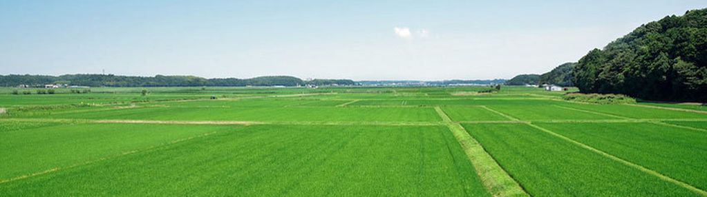 Działka budowlana 1637 m.kw wrocław jagodno