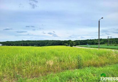 Działka mr/u, droga wojewódzka