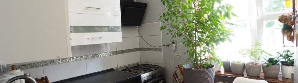 Mieszkanie 41 m2 1 piętro rejowiec ul. fabryczna