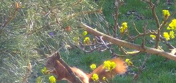 Wymiana elektryki-54m2-rozkład-med.miejskie-balkon