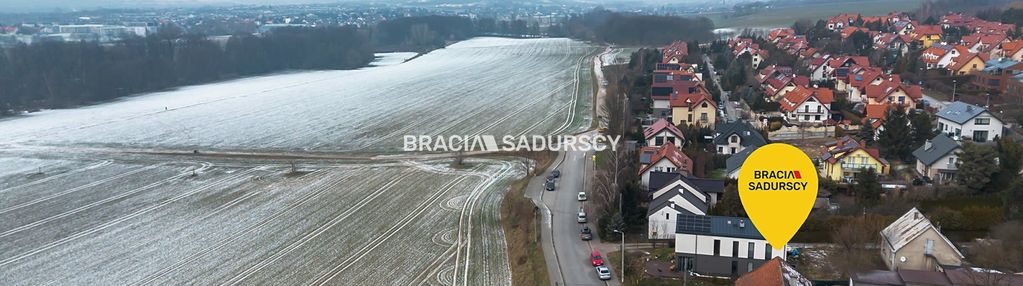 Dom przy polach witkowickich, prądnik biały