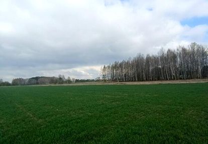 Piękne 10 arowe działki w świerzowej polskiej