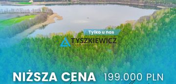 Las z linią brzegową jeziora - piece %nowa cena%