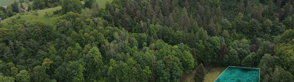 Działka w zacisznej miejscowości podgórzyn !