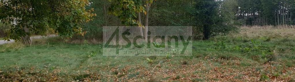 Kup inwestycyjnie przy 70-tce - stary łajszczew