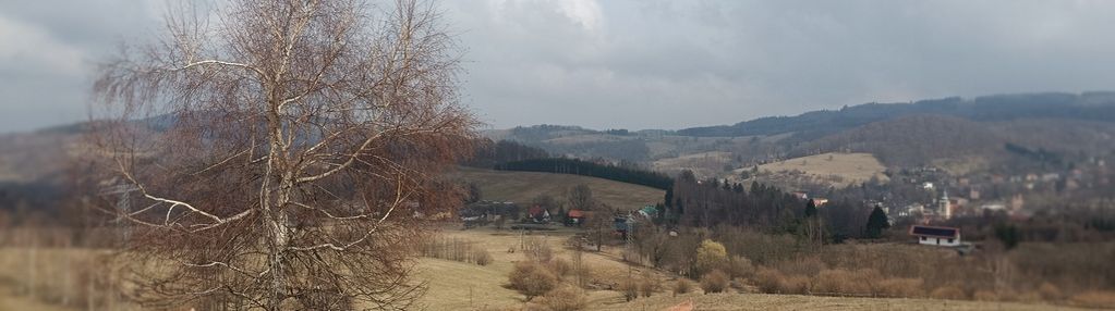 Działki pod lasem z panoramicznym  widokiem