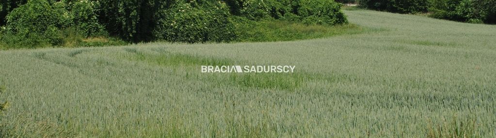 Duża działka inwestycyjna w brzeziu gm.kłaj