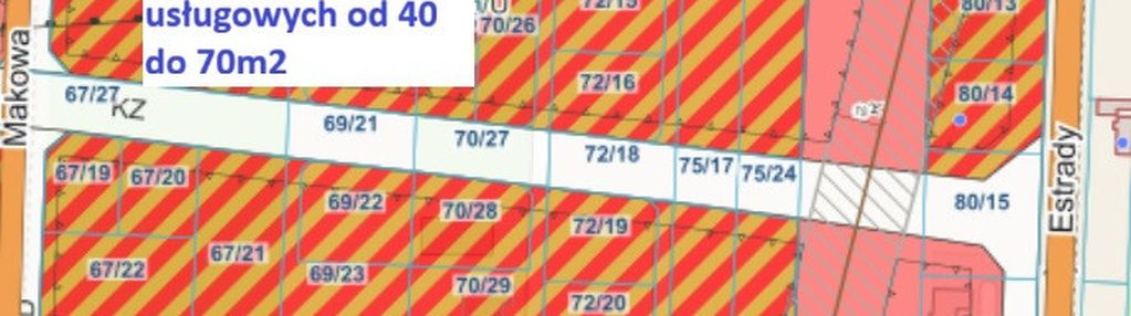 Mpzp dla u/p i część w mn, wjazd od ul. janickiego