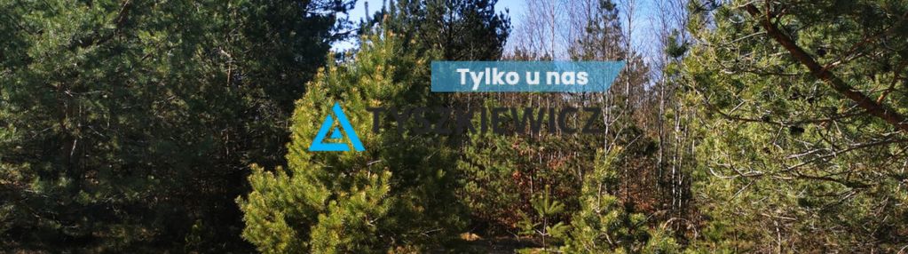Doskonała okazja,urokliwa działka w nowej kiszewie
