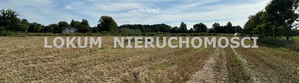 Działka rolna zebrzydowice