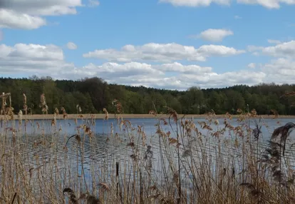 Działka na sprzedaż 3497m2