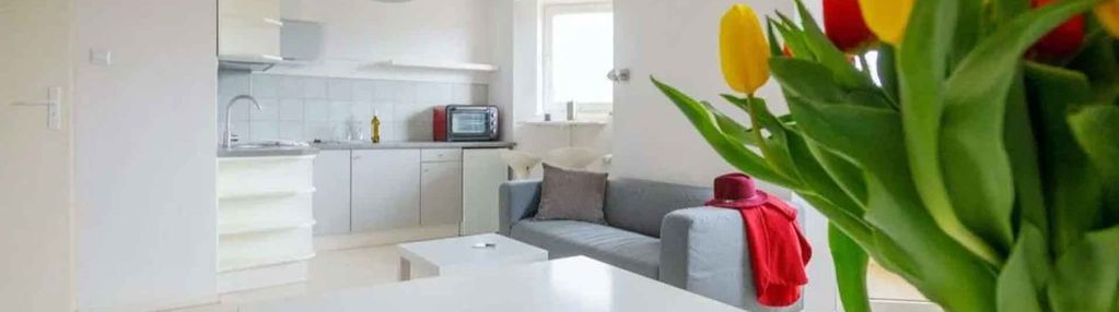 Kawalerka z balkonem, widok na rzekę, Śródmieście