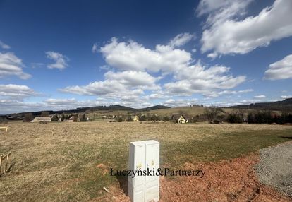 Działka w olszynach