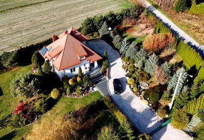 Zielona, spokojna okolica blisko lasu