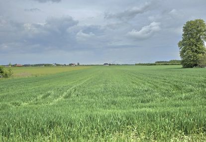 Atrakcyjna działka budowlana żabokliki - kolonia