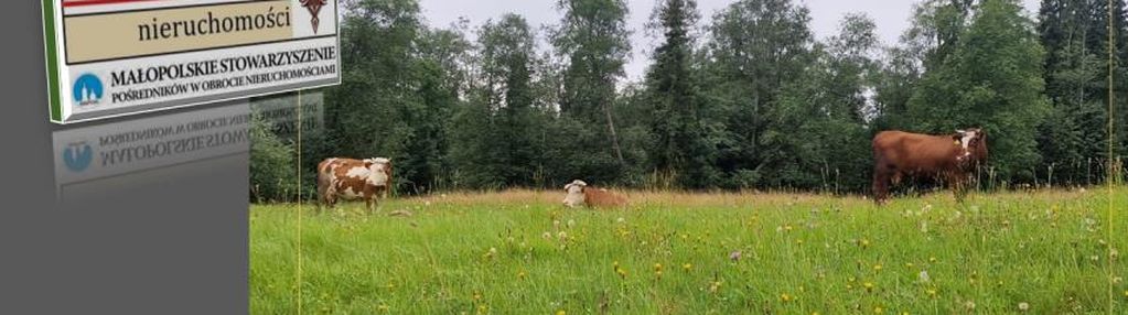 Tania działka na podhalu