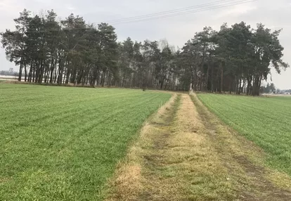 Działka na sprzedaż 282m2