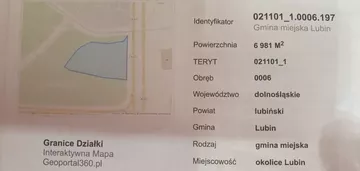 Działka na sprzedaż 6981m2