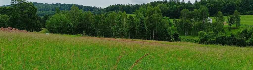 Widokowa działka;prąd, droga i dogodna komunikacja