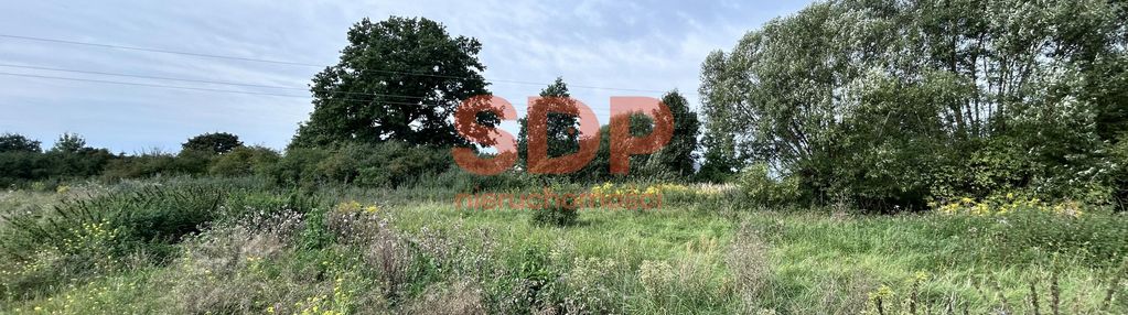 Działka budowlana z wz na obrzeżach konstantynowa łódzkiego