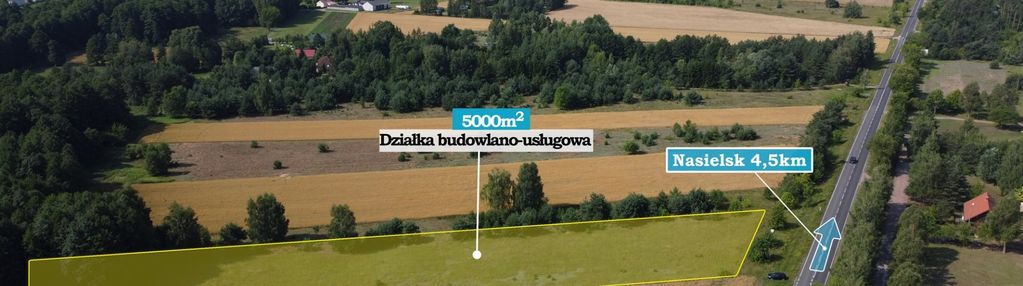 Duża działka budowlana przy drodze wojewódzkiej