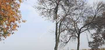 Działka przemysłowa w dobrej lokalizacji