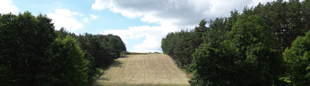 Przeznaczenie gruntu: usługi turystyki