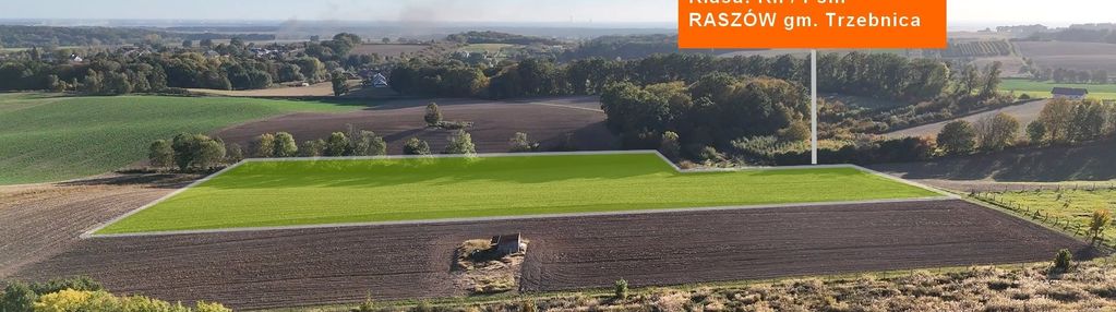 Działka rolna 2,3075 ha |raszów|klasa rii i psiii