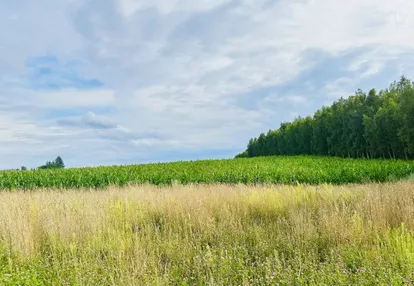 Działka na sprzedaż 1000m2