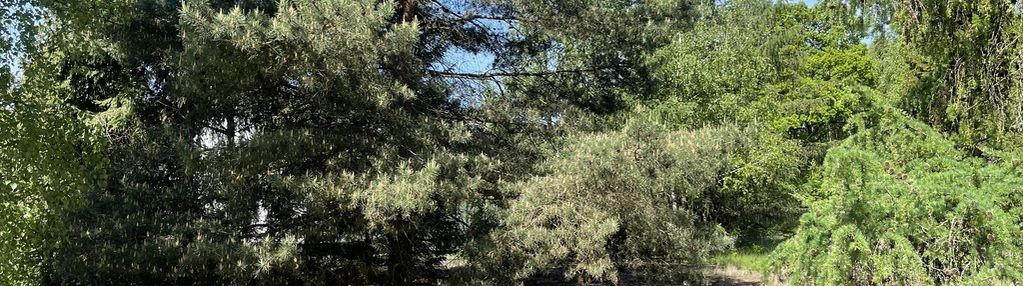 Działka budowlana blisko jeziora zegrzyńskiego