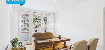 Na wynajem dwupokojowe mieszkanie na błoniu