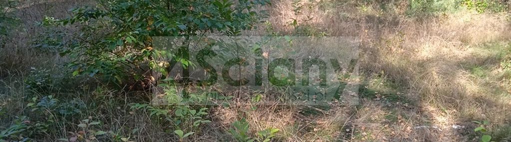 Działka pod zabudowę rezydencyjną