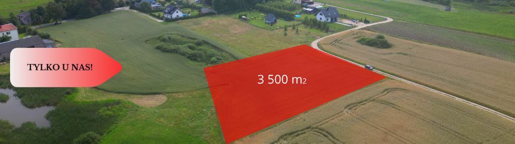 Działka 3500 m² w skrzydłowie, z warunkami zabudow